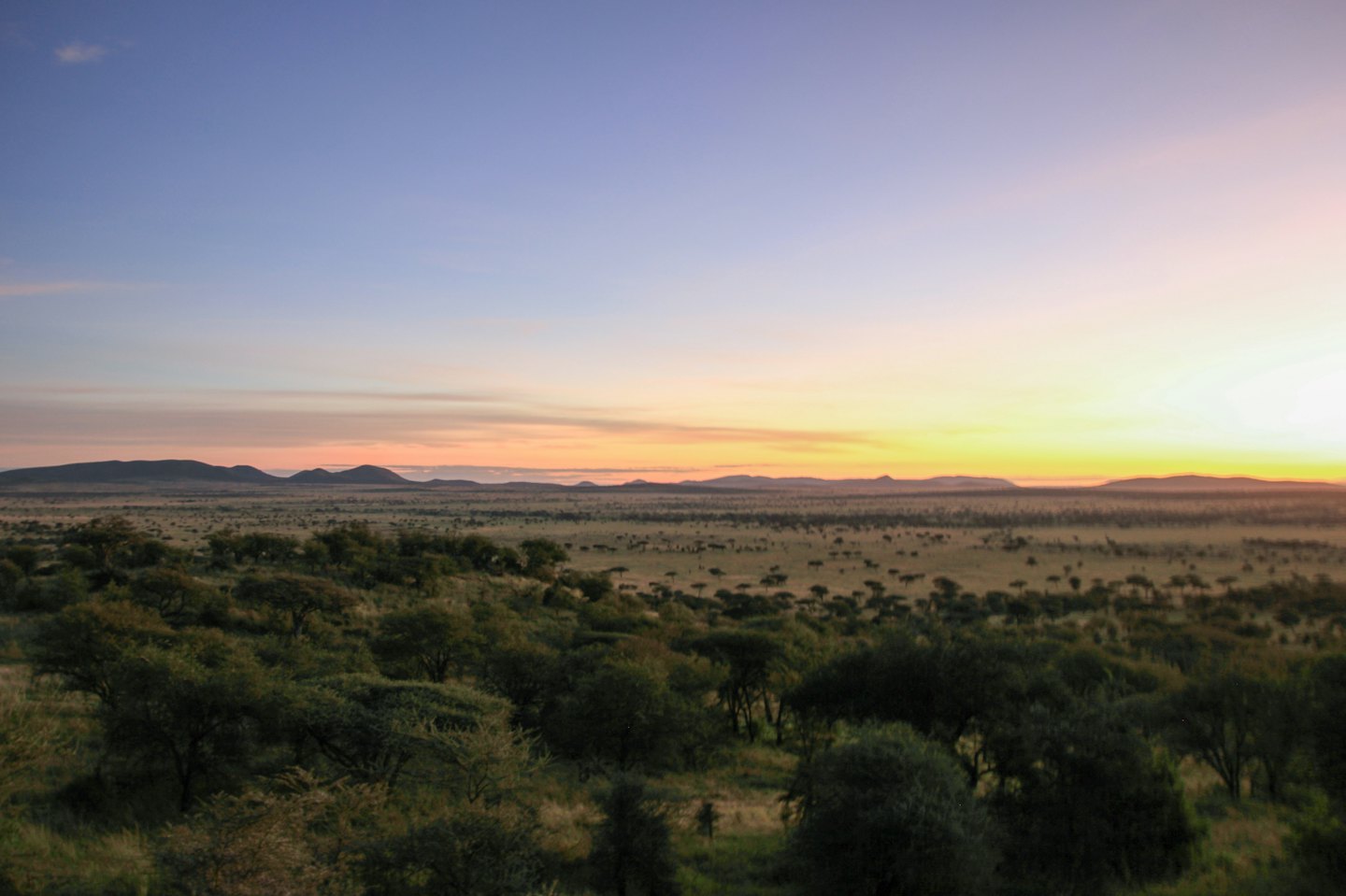 Acacia trees and dry grass across a rolling savanna landscape.